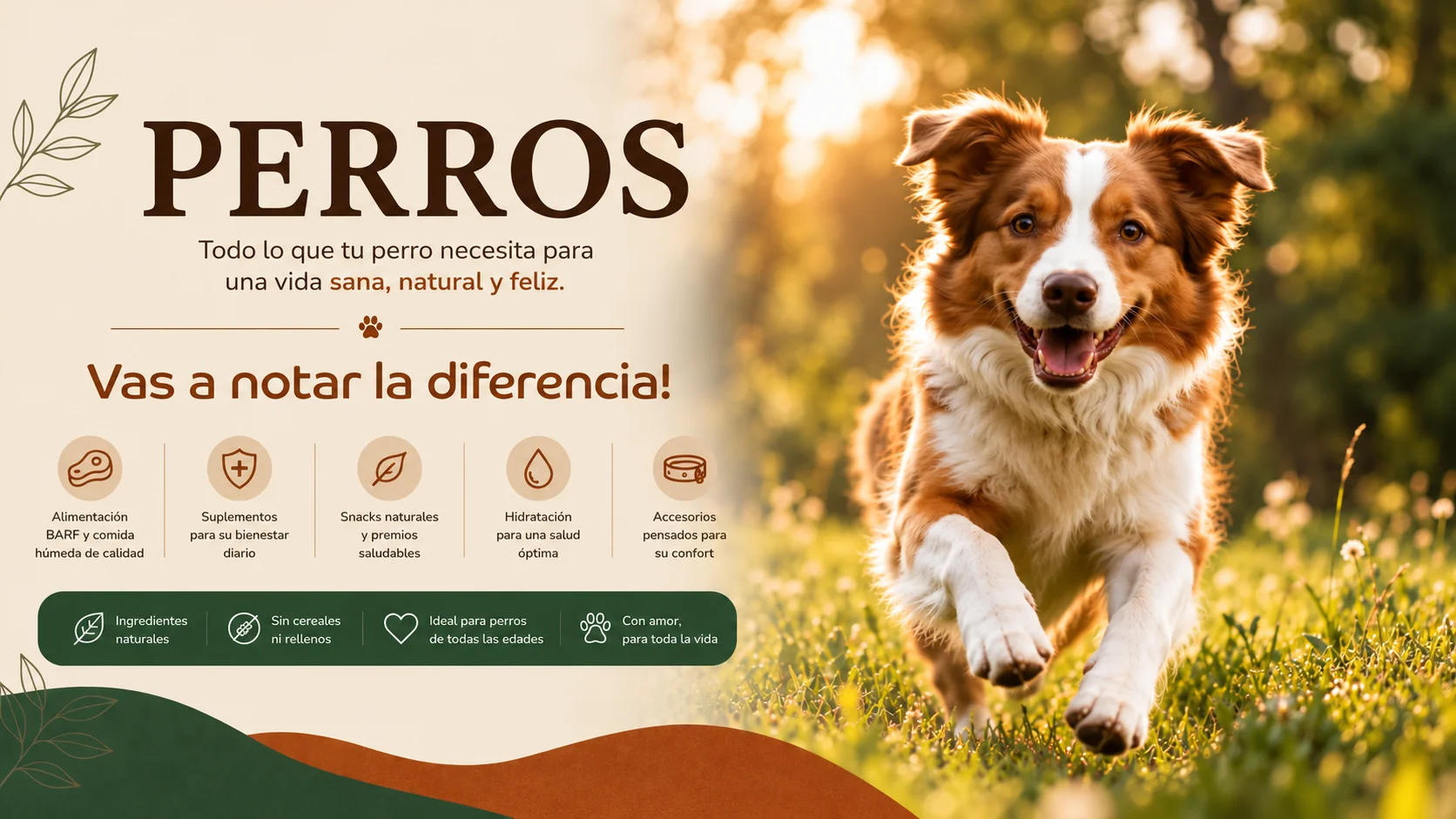 Productos perro productos perro la barferia logroño